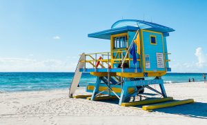 pexels-leah-kelley-9293247